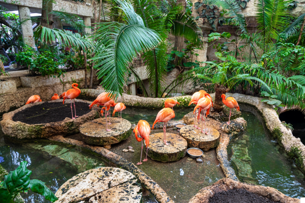 The Dallas World Aquarium: Marine and Wildlife Wonders