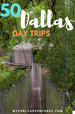 Day Trips from Dallas: Must-Visit Nearby Spots