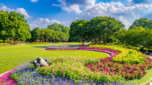 The Dallas Arboretum: Nature and Serenity